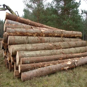 Ukraine Wood Logs/ PINE WOOD LOG FOR MAKING PALLET OR CONSTRUCTION CUTTING FROM ORIGINAL FOREST