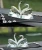 Import unique couple crystal glass swans Model Handmade desk ornament decoration wedding gifts souvenir in crystal crafts from China
