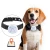 Import Universal Smart Pet GPS Tracker 2G Pet GPS Location Pet Waterproof Tracking Device Dog Finder WiFi USB Rechargeable from China