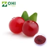 Vaccinium Myrtillus Extract Anthocyanins Anthocyanosides 100% European original raw material