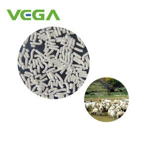 VEGA Professional Natural Digestive Support Formula Product 10% Enrofloxacin 20%