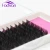 Import View larger image Individual Lashes For Building Mink False Eyelashes High Quality 12 Lines/Tray B/C/D Curl Eyelash Extension from China