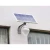 Wall mounted pole mounted  energy saving LED apple/peach shape lamp   9w