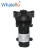 Import Whaleflo DC 24V Portable Battery Power Diaphragm Pressure Car Washer pump 20LPM from China