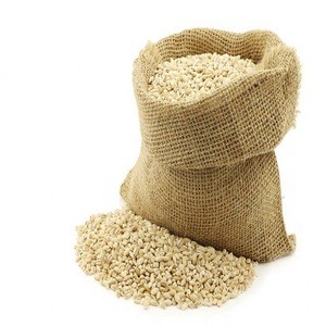 Wheat Flour High Quality Product of USA/Barley Flour
