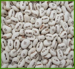 White Carved Beans Magic Engraved Bean In Promotion