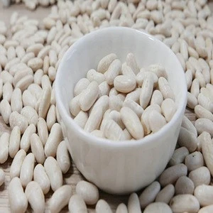 White Kidney Beans rop bean/white beans/Baishake