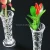 Wholesale Competitive Price, New Design and High Quality Glass Bottle Flower Vase