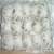 Import Wholesale Frozen Octopus for sale at best prices from Philippines