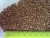 Wholesale hot sale organic dried roasted from Ukraine - super price buckwheat