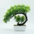 Import Wholesale New Design High Quality Bonsai Tee Plant Plastic Tree in 6 Colors with Competitive Price from China