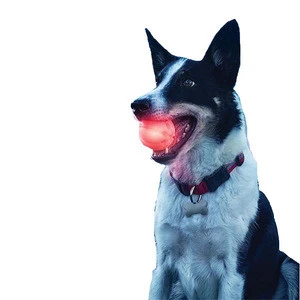 Wholesale Production LED Lighting Pet Dog Ball Light Bright Night Dog Ball