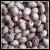 Import Xinjiang Pinto Beans /LSKB / Cranberry Beans / Mottled Xinjiang LSKB from China