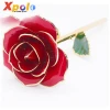 XP-RG-1004 Fashion Gold Colourful Real Rose Flower Craft