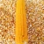 Import Yellow Maize, Dried Yellow Corn, Popcorn, White Corn Maize from USA