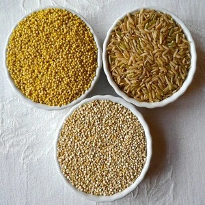 yellow millet for bird food/brown millet for sale