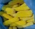Import yellow  & white  corn exporters from Republic of Türkiye
