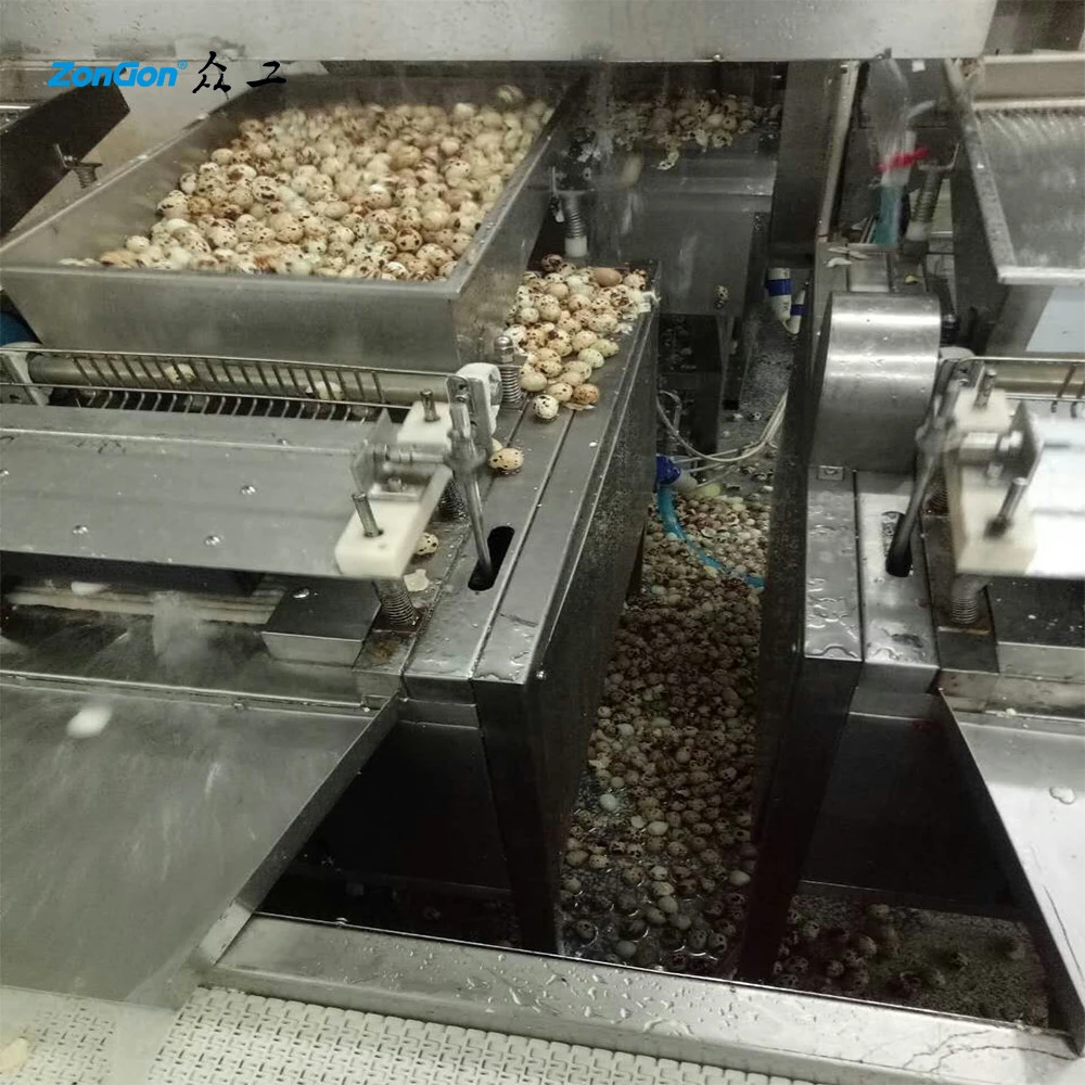 Zongon automatic Egg cleaning  Machine Quail Egg Boiled Processing Line