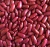 Import Kidney bean from Ethiopia