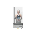 ATEAGO ROBOTIKS A1 Advertise Robot OLED LCD Display Robot Marketing Promotion Robot Meta Human Display Robot