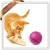 Import fleeing ball cat toy interactive cat toy pet toy from China