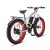 Import 1000W 48V 17.5ah Li-ion Battery Electric Bike with UL Certified from USA