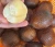 Import snake fruit from Indonesia