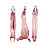 Frozen Lamb Meat