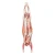 Import Frozen Lamb Meat from Kenya