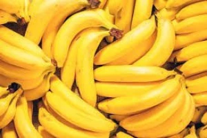 Bananas for sale