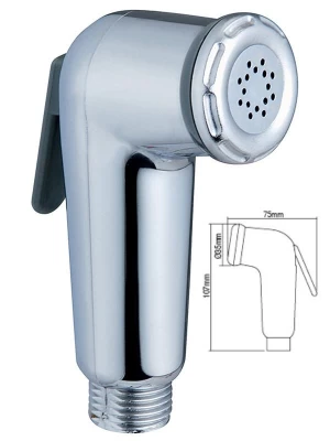 Handheld Bidet Toilet Sprayer