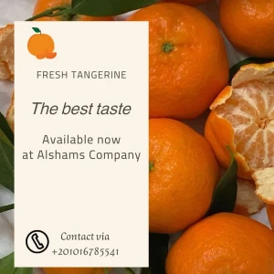 fresh Tangerine