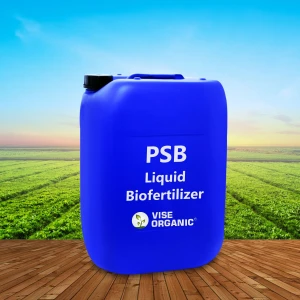 PSB contains high concentrations of viable cells which is in dormant stage & proliferates immediately after being appli