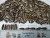 Import Chinese Big Size 363 Black Sunflower Seeds from China