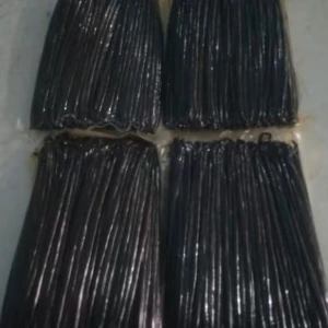 Planifolia grade A