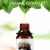 Import Massage 10ml Shaping Compound Essential Oil Anxiety Relief FDA Organic from China