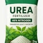 Urea