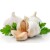 Import chinese fresh garlic export from jinxiang from China