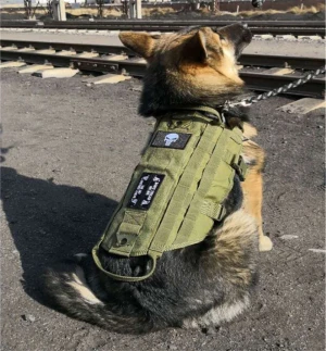 Tactical dog vest military training harness with handle outdoor pet supplies