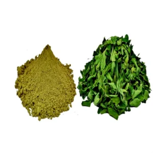 Indigo Leaf / Indigo leaf Powder for sale