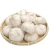 chinese fresh garlic export from jinxiang
