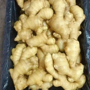 High Grade, Aromatic and Nutrient Rich Fresh Golden Ginger