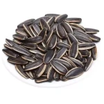 Exporting Organic Dried Sunflower Seeds High-End Grade Bulk Wholesale Food