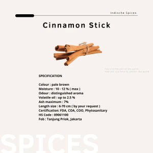 Cinnamon Stick Cassia