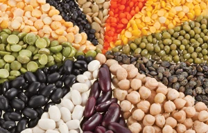 Grains & Seeds & Pulses