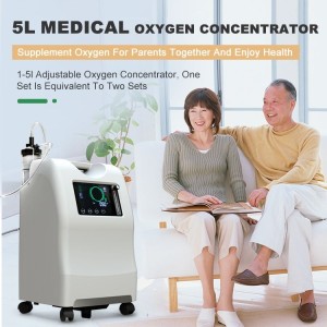 Wholesale 5L 10L Medical-Grade CE ISO Certificated Hospital Oxygen Generator Machine