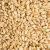 Import Hot selling wholesale durum Wheat in Bulk supply Top Quality Wheat Grains soft wheat in bulk for sale Best Quality from Tanzania