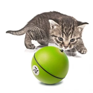 fleeing ball cat toy interactive cat toy pet toy