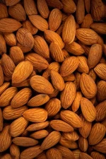 Premium Quality Almond Nuts - Raw, Roasted, and Wholesale Supply