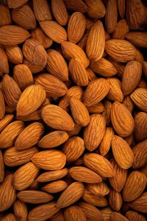 Premium Quality Almond Nuts - Raw, Roasted, and Wholesale Supply